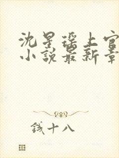 沈星瑶上官容渊小说最新章节列表