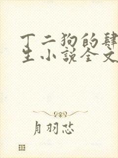 丁二狗的肆意人生小说全文免费阅读封面