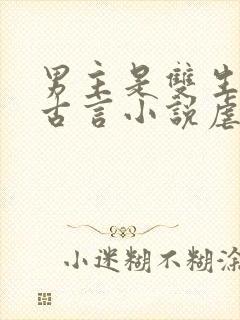 男主是双生子的古言小说虐文