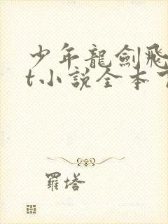 少年龙剑飞txt小说全本下载