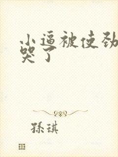 小逼被使劲操爽哭了封面