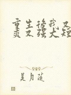 重生后我又飒又爽又强大短剧免费观看