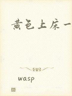 黄色上床一级片