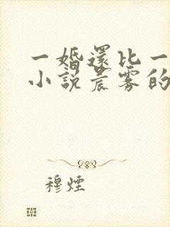 一婚还比一婚高小说晨雾的光完整版全文阅读