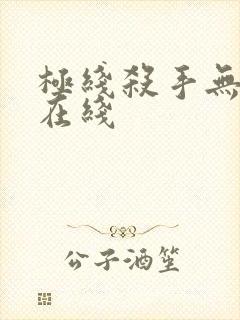 极线杀手无删减在线