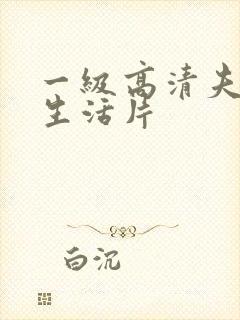 一级高清夫妻性生活片