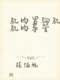 肌肉男胸肌腹肌肌肉导管