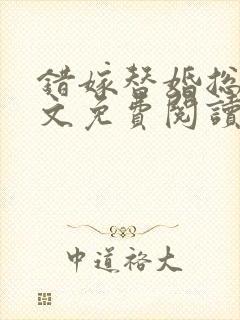 错嫁替婚总裁全文免费阅读封面