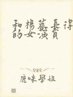 和杨蓉长得很像的女演员