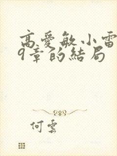 高爱敏小雷第29章的结局封面
