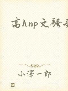 高hnp文骚受封面