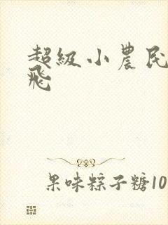 超级小农民王小飞封面