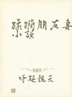 蹂躏朋友妻乳房小说