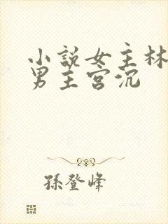 小说女主林知意男主宫沉封面