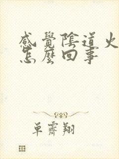 感觉阴道火辣辣怎么回事