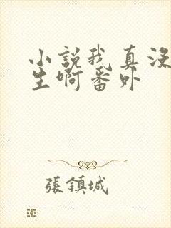 小说我真没想重生啊番外封面