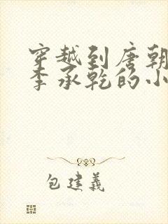 穿越到唐朝成为李承乾的小说封面