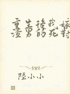 重生后我嫁给了渣男的死对头原著