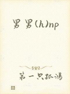 男男(h)np