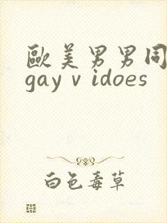 欧美男男同性恋gayⅴidoes