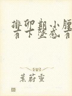 排卵期小腹胀痛有下坠感有大便感