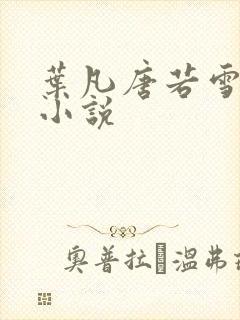 叶凡唐若雪医婿小说封面