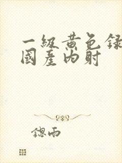 一级黄色录像片国产内射