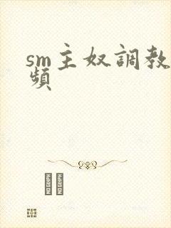 sm主奴调教视频封面
