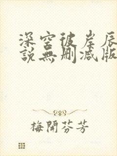 深空彼岸辰东小说无删减版