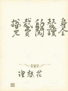 总裁的替身前妻免费阅读全文正版封面