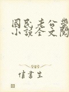 国民老公带回家小说全文阅读免费封面