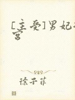 [主受]男妃后宫