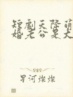 短剧天降萌宝闪婚老公是大佬