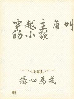 穿越主角叫林枫的小说封面