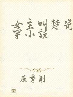 女主叫楚瓷的快穿小说