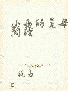 小西的美母教师阅读