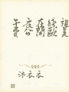 午夜在线视频免费公开欧美封面