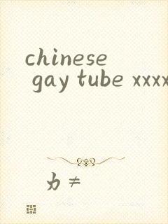 chinese gay tube xxxxvido封面