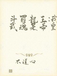 斗罗龙王:我的武魂是帝皇铠甲笔趣阁