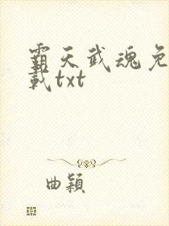 霸天武魂免费下载txt