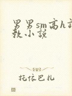 男男sm高h调教小说