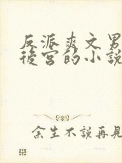 反派爽文男主开后宫的小说