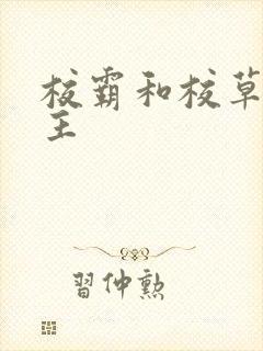 校霸和校草双男主