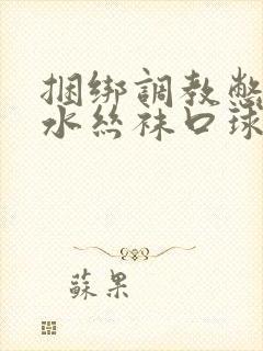 捆绑调教憋尿灌水丝袜口球