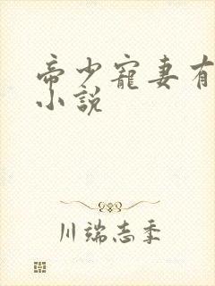 帝少宠妻有点甜小说