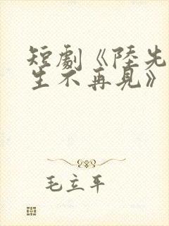 短剧《陆先生余生不再见》