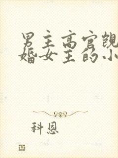 男主高官觊觎已婚女主的小说