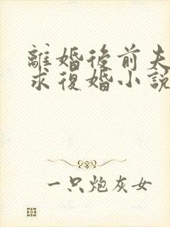 离婚后前夫哭着求复婚小说阅读全部