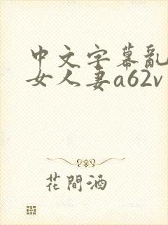 中文字幕乱码熟女人妻a62v网站