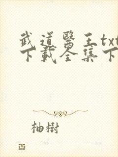 武道医王txt下载全集下载